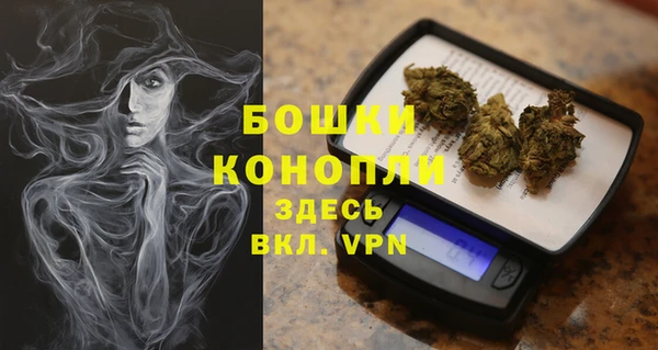 PSILOCYBIN Шали
